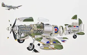 Air Vehicle Prints: Tempest Mk II, Royal Air Force (RAF) fighter aircraft of World War II
