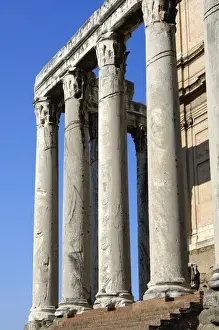 Nature’s Masterpiece: Temple of Antoninus and Faustina Forum Romanum Rome Italy
