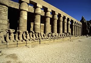 Images Dated 15th July 2012: Temple Of Karnak, Luxor - Egypt