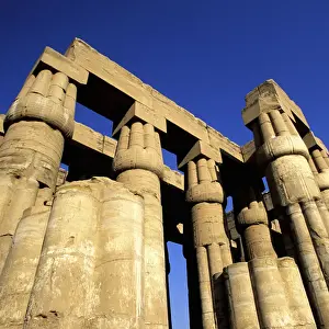 Supported Prints: Temple of Luxor, Luxor, Egypt