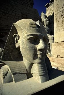Egyptian Culture Collection: Temple of Luxor, Ramesses II Statue, Luxor, Egypt