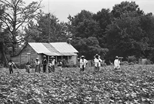 Tenant Farmer Family Standing in Field