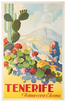 Gado Posters Prints: Tenerife Eternal Spring Poster