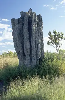 Heap Prints: Termite mound, Australia