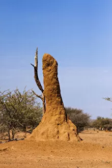 Images Dated 20th May 2013: Termite mound, Kaokoland, Kaokoveld, Namibia