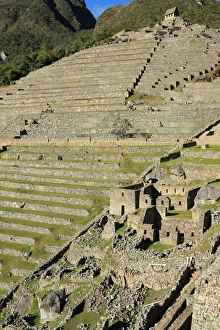 Ruined Gallery: Terraces, Machu Picchu