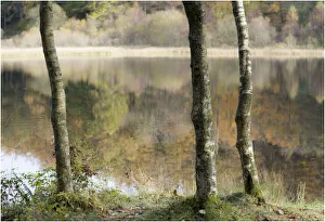 Images Dated 2nd November 2016: Terry Roberts Landscape Photography