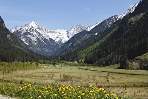 Schladming Prints: Tettermoos in Untertal valley, Soelktaeler Nature Park