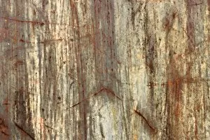 Images Dated 25th February 2012: Texture, metal with paint