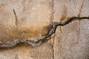 Images Dated 25th February 2012: Texture, plastered wall, crack
