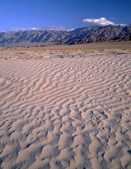 Mount Prints: Textures in sand dunes at Mesquite Flats with Grapevine Mountains in distance