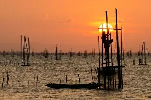 Fishing Industry Gallery: Thai Traditional fishery