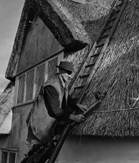 Ladder Prints: Thatching