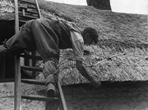 Ladder Prints: Thatching