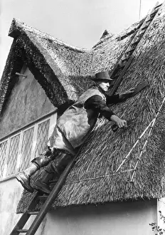 Ladder Prints: Thatching Display