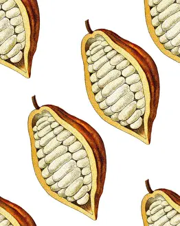 Theobroma cacao, Cocoa bean seamless pattern