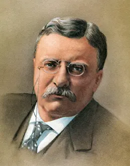 Arc0002900 Prints: Theodore Roosevelt
