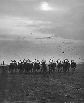 Racehorse Prints: They're Off