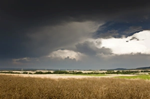 Thick Gallery: Thick storm clouds gathering over a farming area, Bavaria, Germany, Europe
