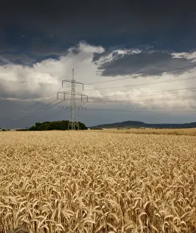 Pylon Prints: Thick storm clouds gathering over a field of rye, Bavaria, Germany, Europe