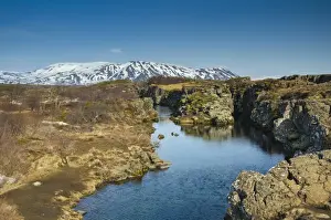 Lava Plain Prints: Thingvellir National Park