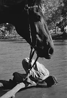 Diry 17580 Prints: Thirsty Stockman