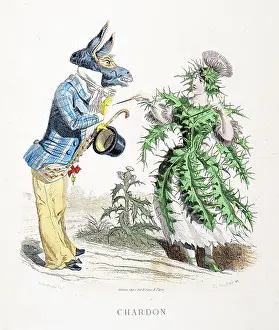 Grandville Prints: Thistle flower and donkey - Stunning Hand-colored plate from 'Les Fleurs Animees by J
