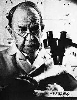 Nobel Prize Prints: Thomas Hunt Morgan with Microscope