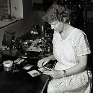 Wool Prints: Thora Hardy Studying Fur Samples