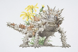 Spiked Gallery: Thorny Devil, Moloch horridus, a spiky lizard
