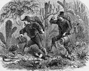 Cactus Prints: A Thorny Path