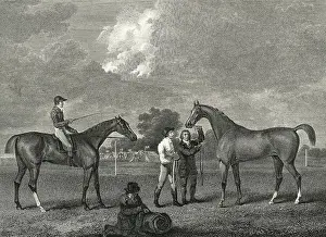 Mating Prints: Thoroughbreds Eclipse & Shakespear