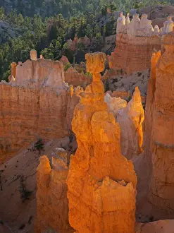Hoodoo Prints: Thors Hammer, Bryce Canyon National Park, Utah, USA