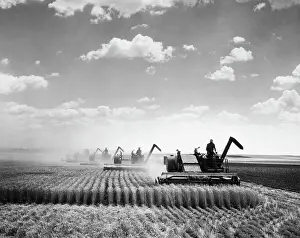 Grain Prints: Threshing Grain