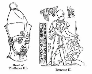Images Dated 18th May 2013: Thutmose III and Ramesses II