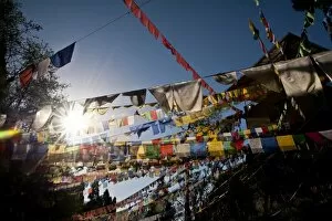 Many tibetan flags are hanged at the Temple in Gan