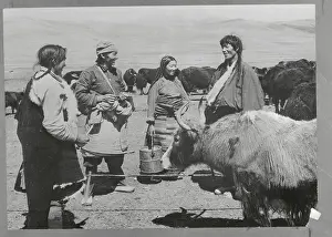 Tibetan Herdsman Smiling with Others