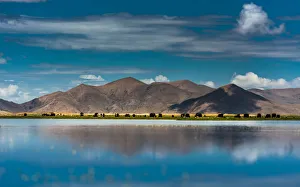 Images Dated 3rd July 2012: Tibetan landscape