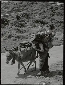 Tibetan Refugee Travelling with Donkey