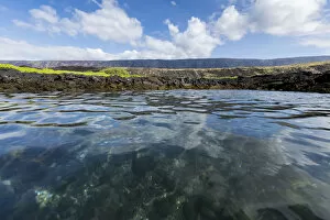 Images Dated 8th September 2014: Tide pool on shore, Hawaii Volcanoes National Park, Hawaii, USA