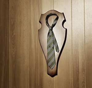 Tie with knot hanging as a trophy on a wall Tie with knot hanging as a trophy on a wall
