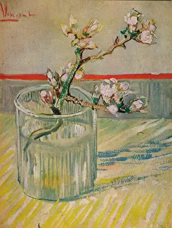 Prints of Tige Fleurie D'Amandier, 1888. From Van Gogh Paintings, introduction by Graham Reynolds. (Lindsay Drummond, Ltd and Les Editions du Chene, London and Paris, 1947) Echoes of Genius: Timeless Reproductions of a Master’s Vision: Tige Fleurie DAmandier