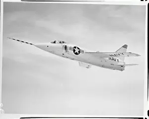 Tiger Plane in Flight