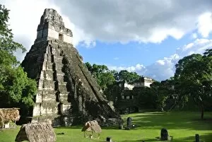 Images Dated 24th November 2015: Tikal
