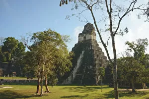 Images Dated 18th February 2014: Tikal ruins