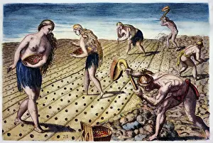 How They Till the Soil and Plant by Theodore de Bry after Jacques Le Moyne