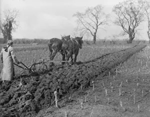 Tilling The Soil