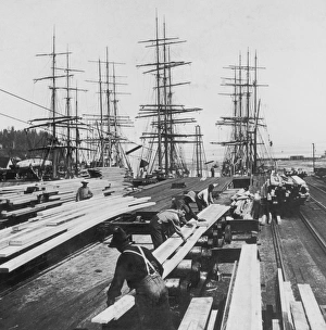 Images Dated 24th July 2010: Timber In Tacoma, Washington