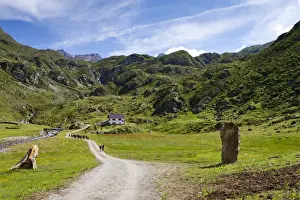 Hiking Trail Prints: Timmelsalm alpine pasture, during the ascent to Mueller Hut via the Passeiertal Valley of the Timmelsjoch Pass Road