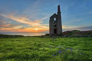 Images Dated 20th May 2017: Tin Mine Bluebells